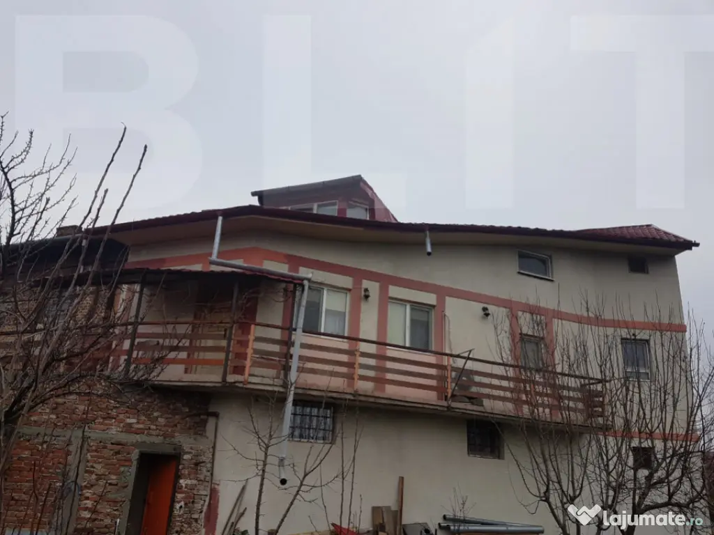 Vand casa si spatiu comercial pe Nicolae Titulescu nr.71 Lug 