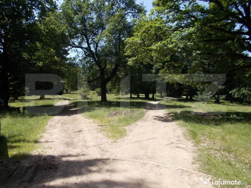 Exclusivitate! Teren Intravilan - 3339 mp - Poiana Brasov ??