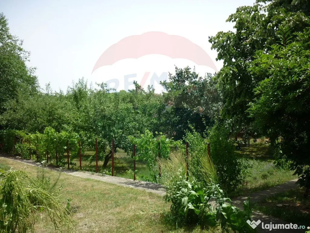 Casa de vacanta langa lacul Snagov / Teren 1922mp / Ciofl... 
