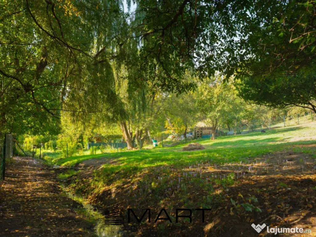 Teren Intravilan 924 mp Codlea 3 Parcele 
