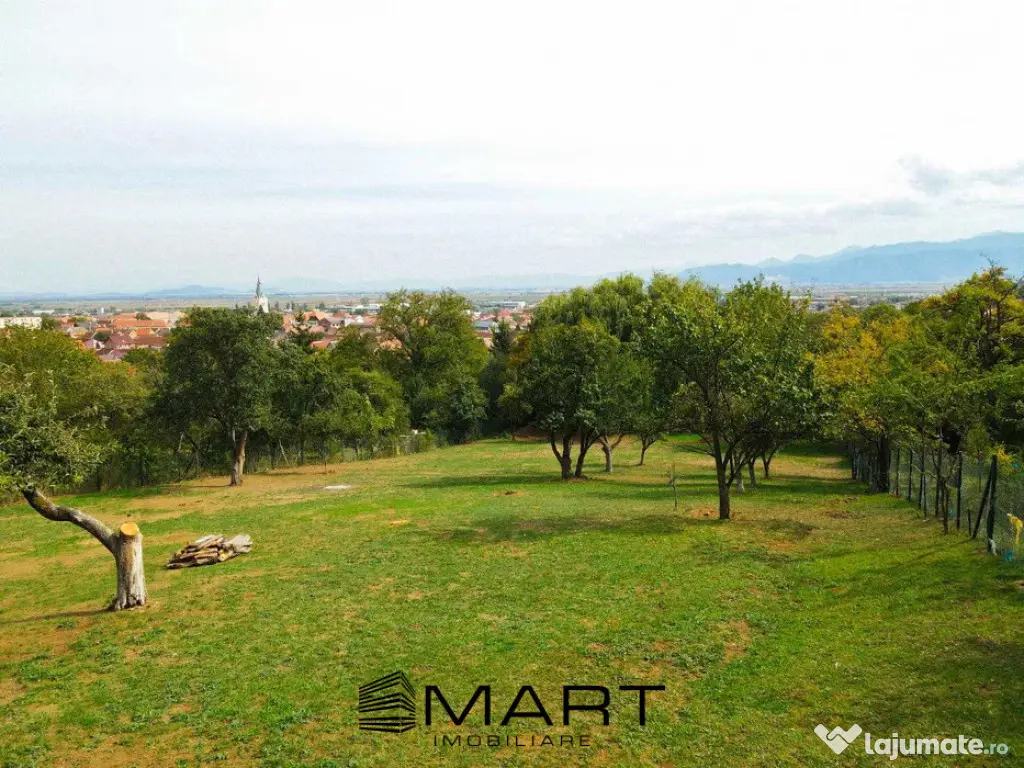 Teren Intravilan 924 mp Codlea 3 Parcele 