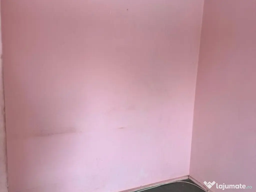 2 Camere cu Potențial Mare, Aleea Pricopan