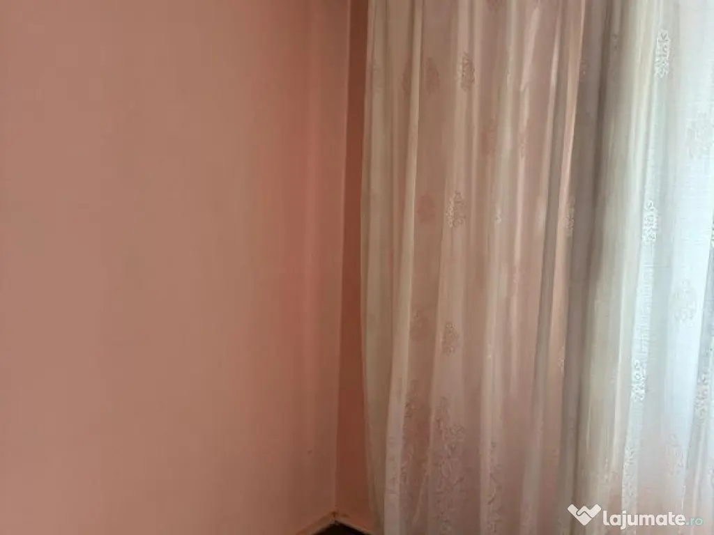 2 Camere cu Potențial Mare, Aleea Pricopan