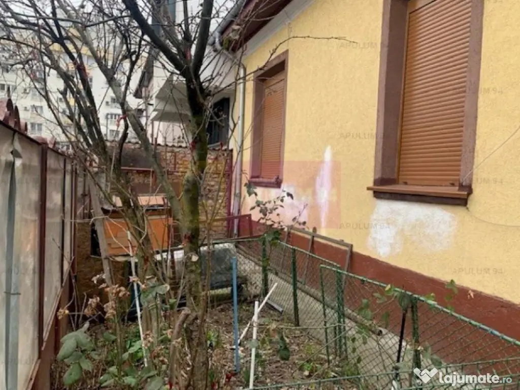 Casa Floreasca- Dinamo.