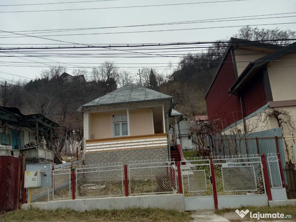 Valea Vie, casa 4 camere de vanzare 