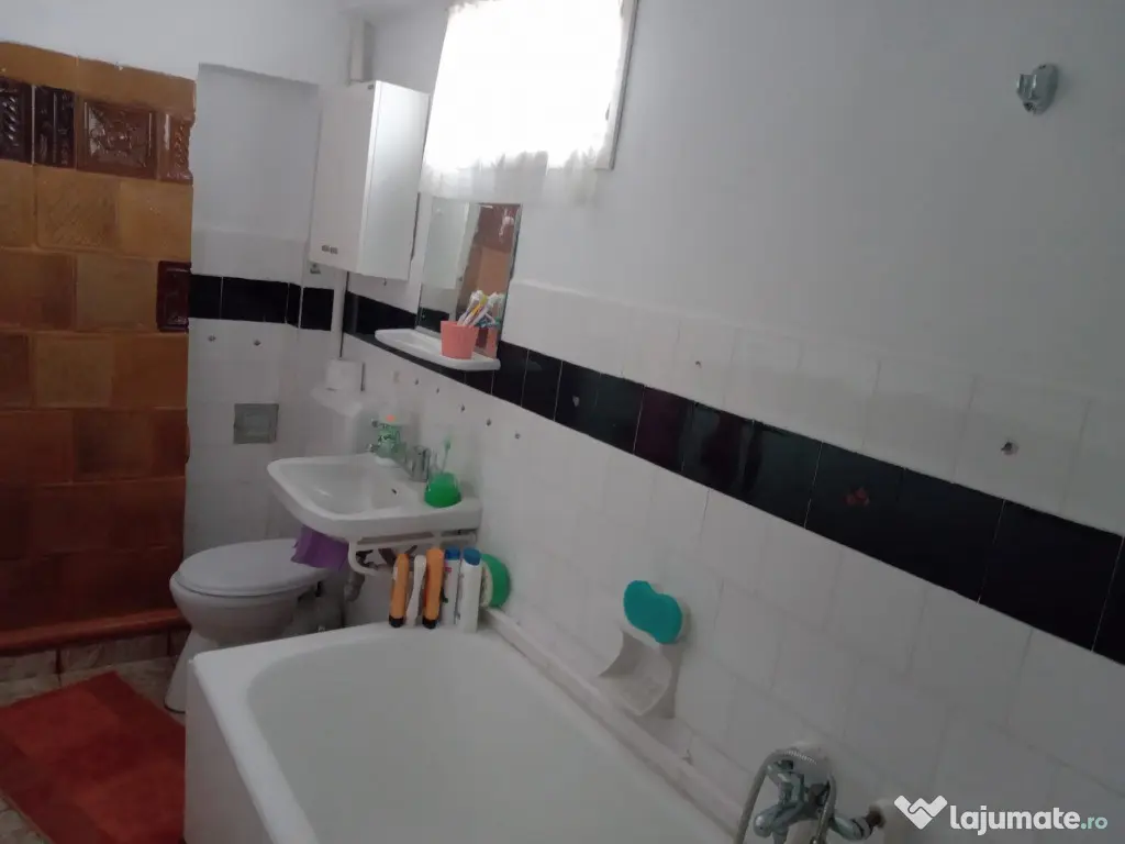 Valea Vie, casa 4 camere de vanzare 