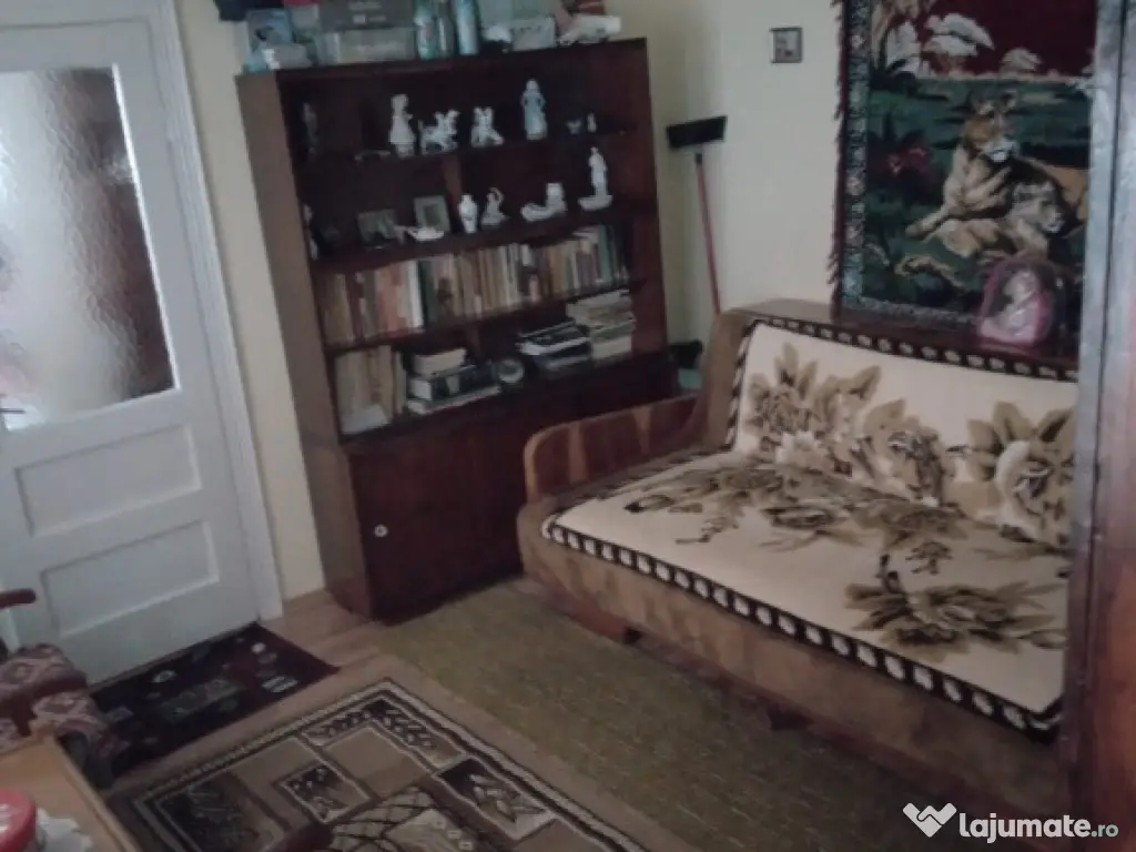 Valea Vie, casa 4 camere de vanzare 