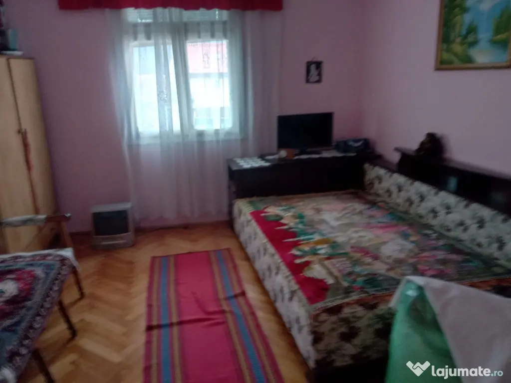 Valea Vie, casa 4 camere de vanzare 