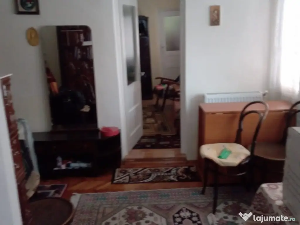 Valea Vie, casa 4 camere de vanzare 