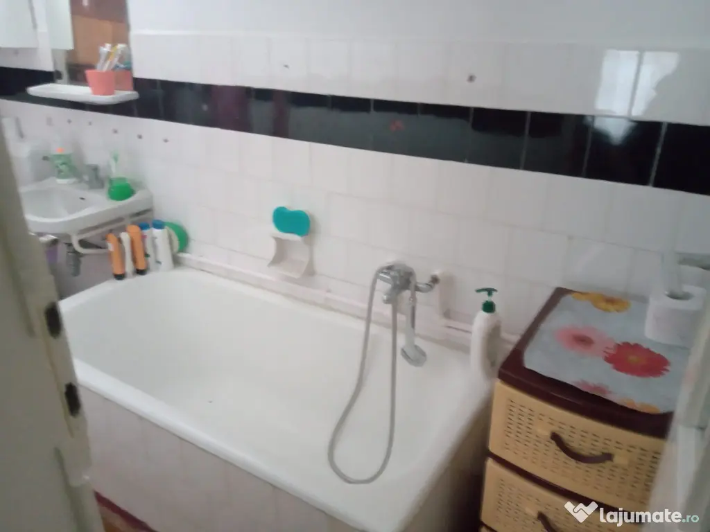 Valea Vie, casa 4 camere de vanzare 