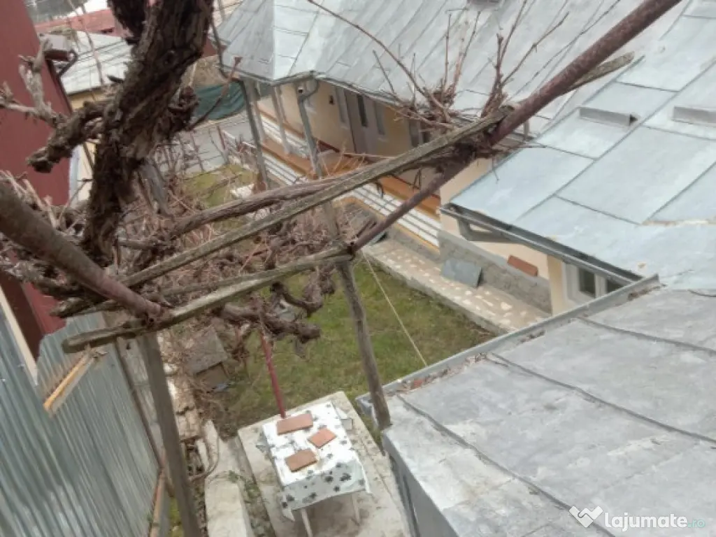 Valea Vie, casa 4 camere de vanzare 