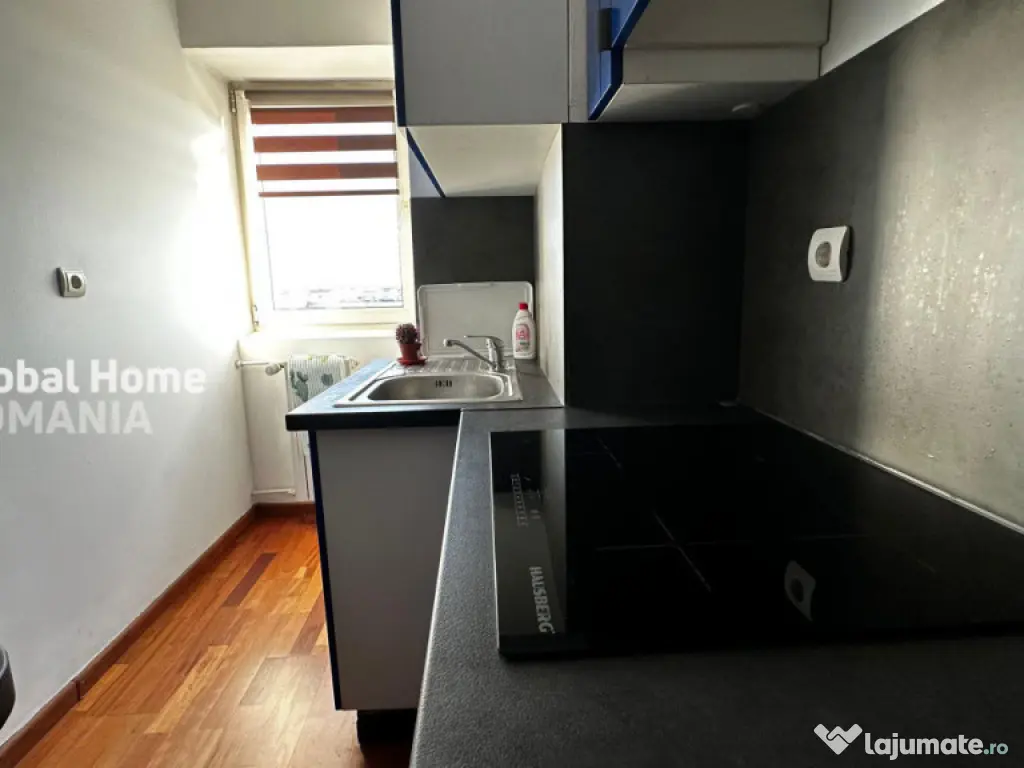 Garsoniera 42 MP utili|Calea 13 Septembrie-Prosper|Stradal 