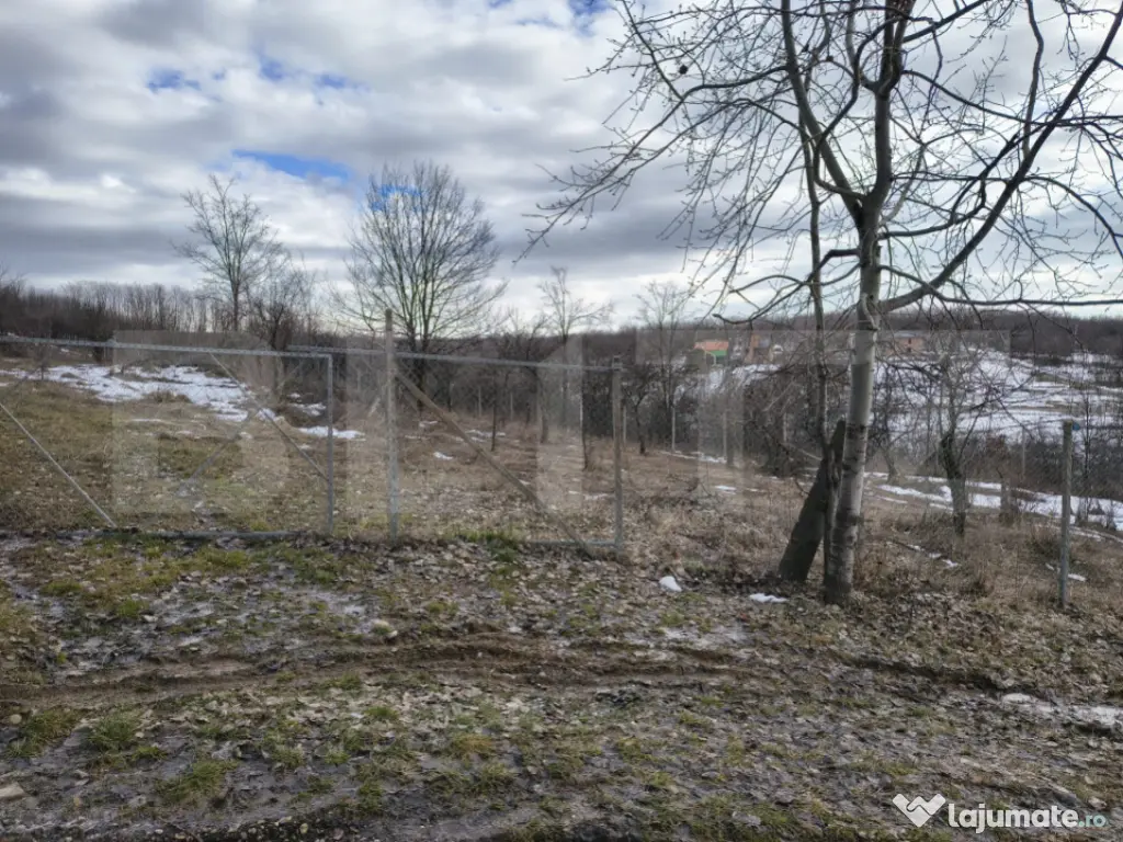 TEREN CU POTENTIAL DEOSEBIT GAGENI