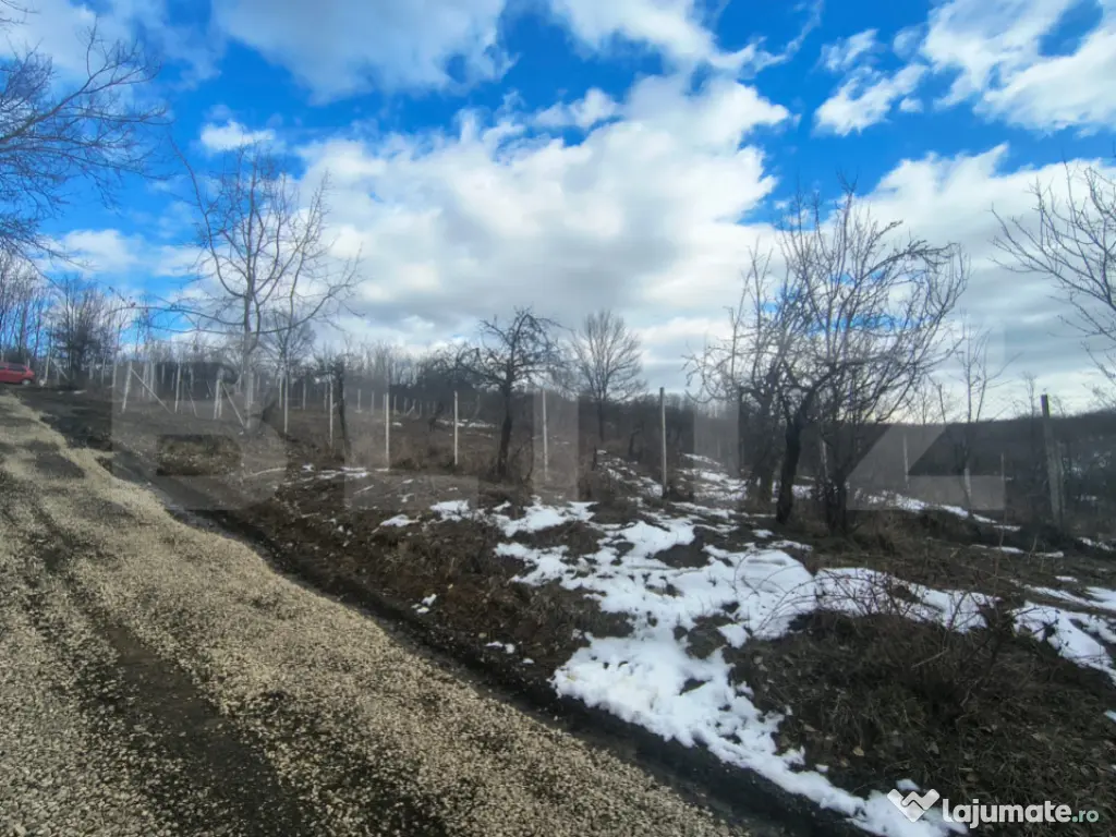 TEREN CU POTENTIAL DEOSEBIT GAGENI