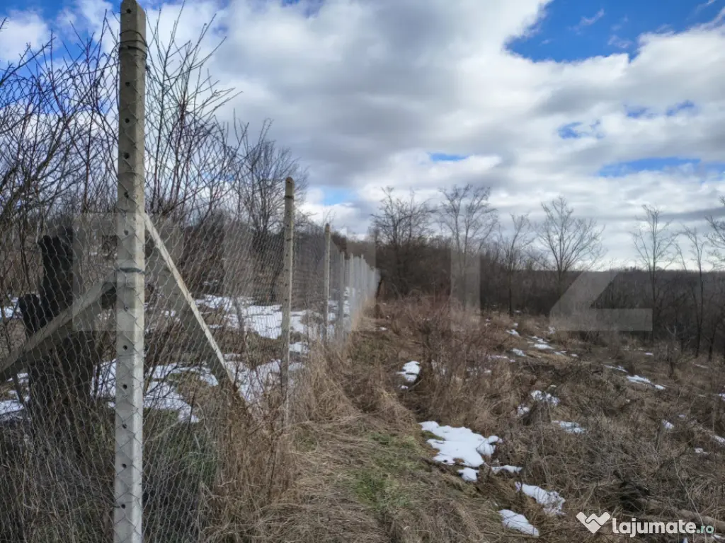 TEREN CU POTENTIAL DEOSEBIT GAGENI