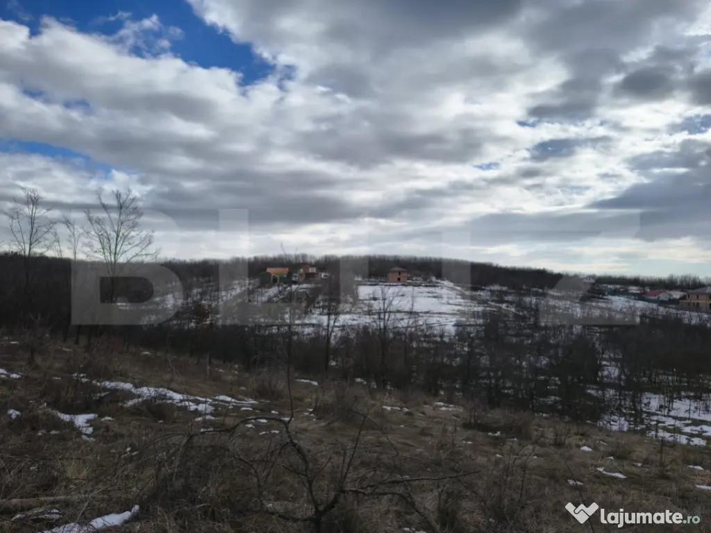 TEREN CU POTENTIAL DEOSEBIT GAGENI