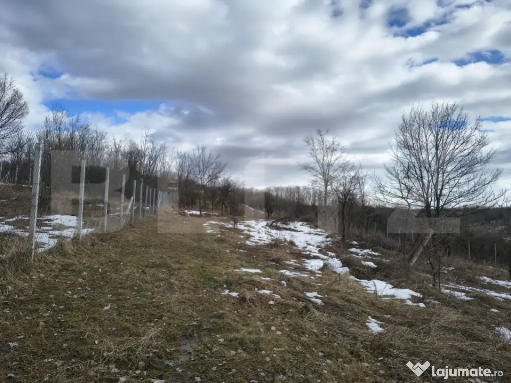 TEREN CU POTENTIAL DEOSEBIT GAGENI