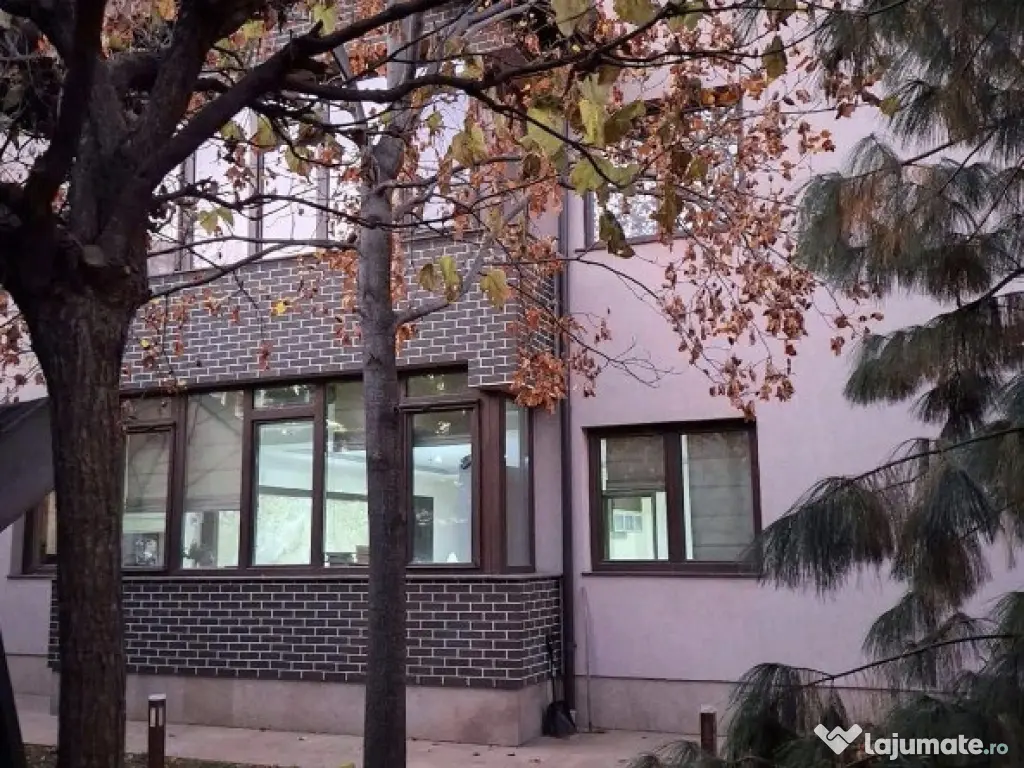 Vila cocheta cu posibilitati de investitie multiple Tineretului 