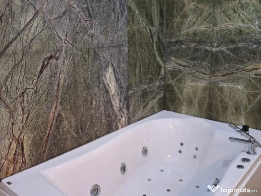 Vila cocheta cu posibilitati de investitie multiple Tineretului 