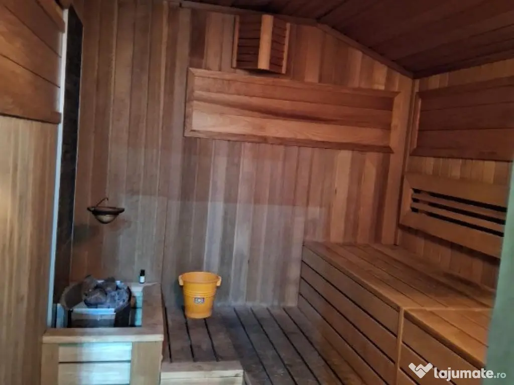 Vila cocheta cu posibilitati de investitie multiple Tineretului 