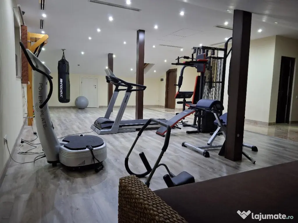 Vila cocheta cu posibilitati de investitie multiple Tineretului 