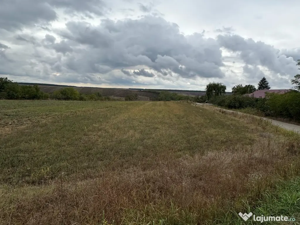 Vand teren Intravilan 1400 MP in Parcul National Comana - Vlad Tepes - Giurgiu