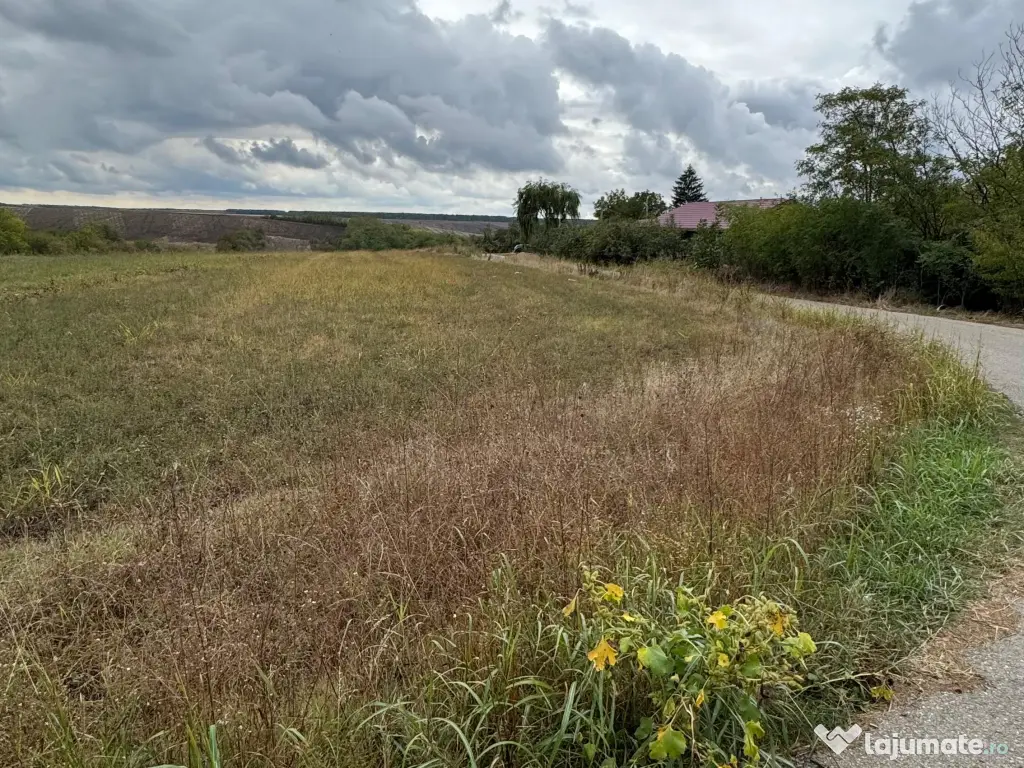 Vand teren Intravilan 1400 MP in Parcul National Comana - Vlad Tepes - Giurgiu