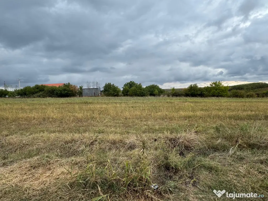 Vand teren Intravilan 1400 MP in Parcul National Comana - Vlad Tepes - Giurgiu