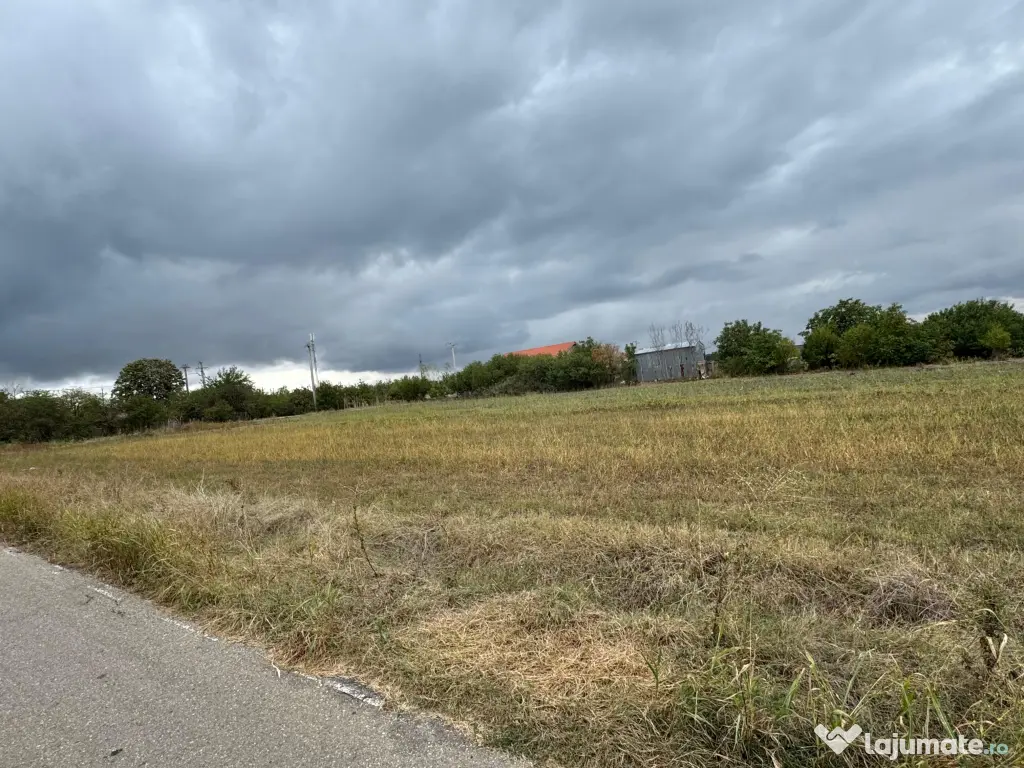 Vand teren Intravilan 1400 MP in Parcul National Comana - Vlad Tepes - Giurgiu