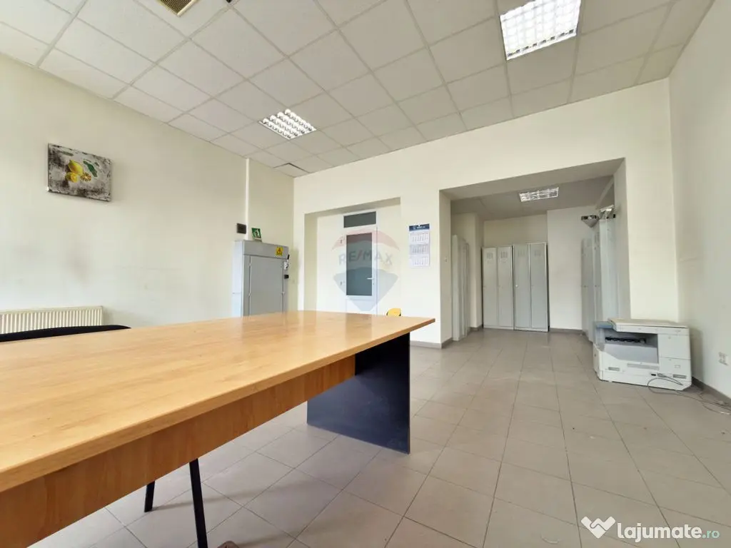 Spațiu industrial de vânzare în Aradul Nou / Arad 