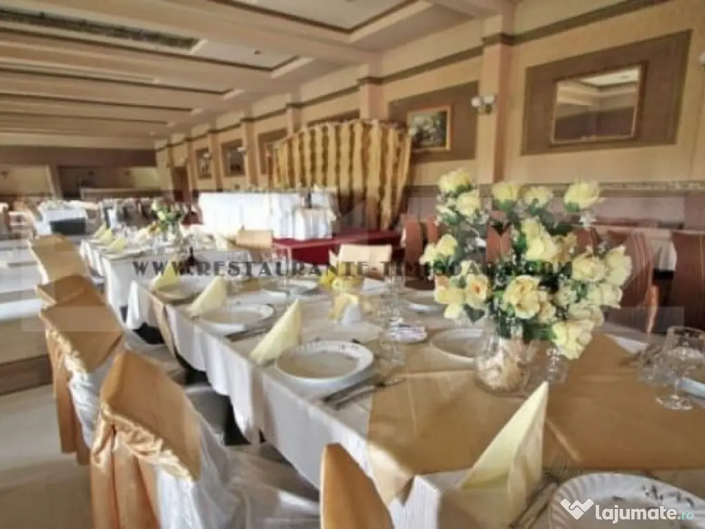 Spre vânzare – Pensiunea Romantique 