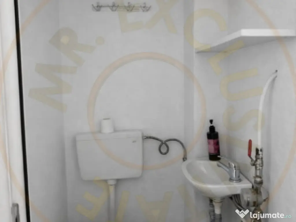 Spatiu comercial 62 mp, Calea Bucureti, stradal, vad comerci 