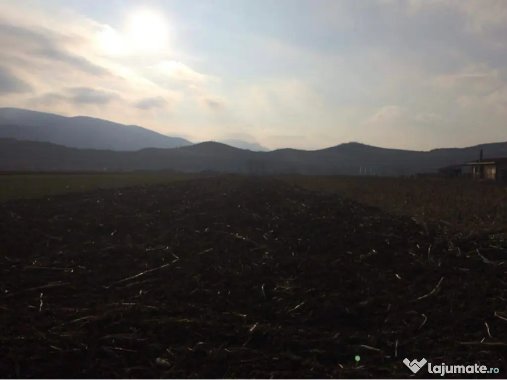 Teren de vânzare in Sard 