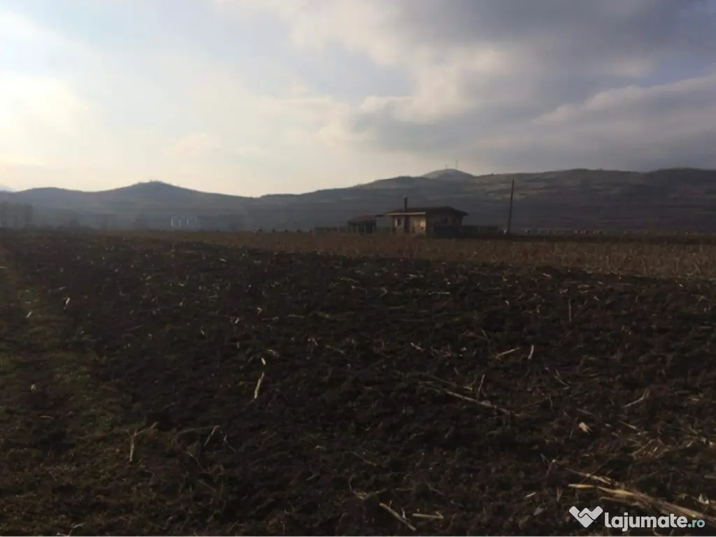 Teren de vânzare in Sard 