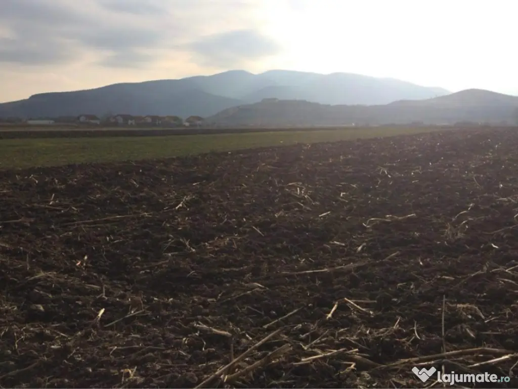 Teren de vânzare in Sard 