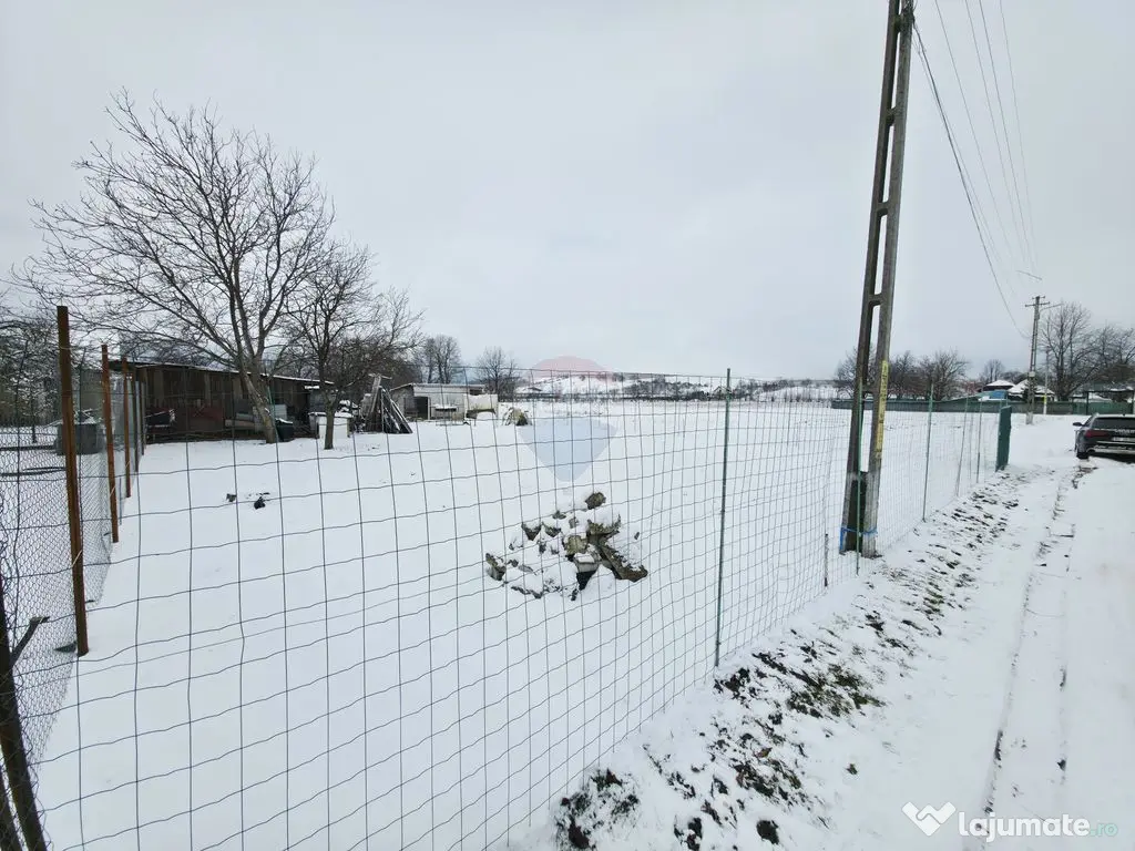 Teren 325mp Dobreni / Strada LASCAR CATARGIU