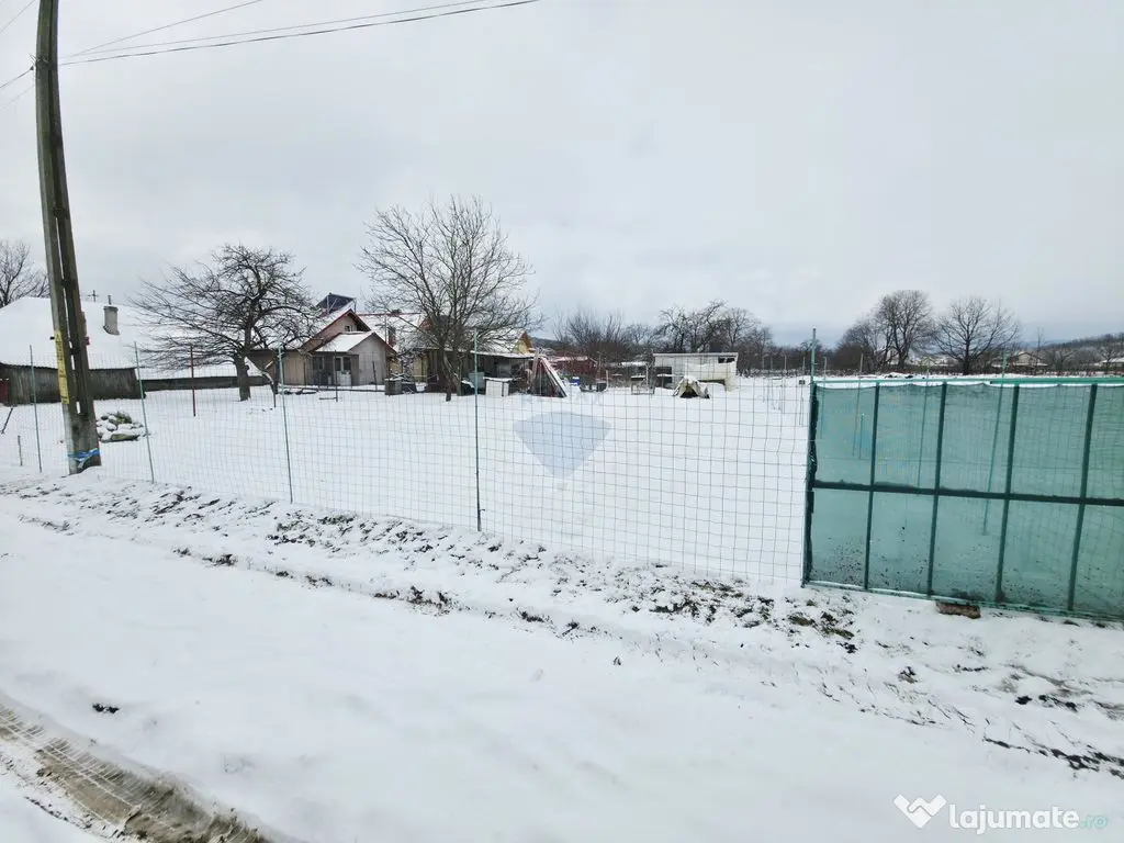 Teren 325mp Dobreni / Strada LASCAR CATARGIU