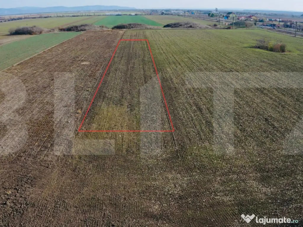 Teren in Vladimirescu, 1600mp + Front stradal generos