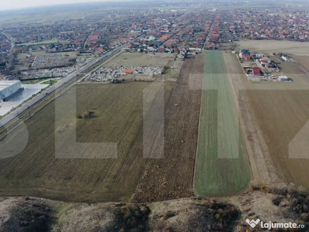 Teren in Vladimirescu, 1600mp + Front stradal generos