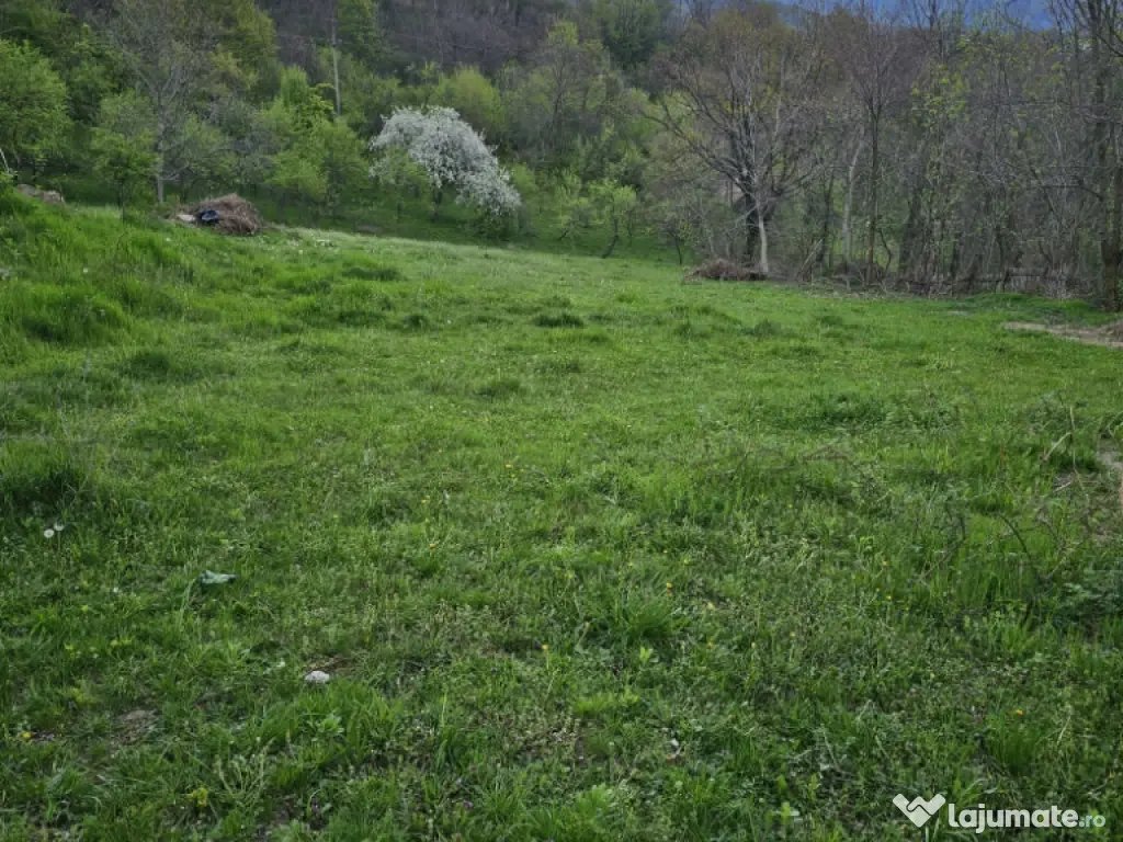 Vând loturi teren intravilane 975mp,949mp,1131mp,1450mp!