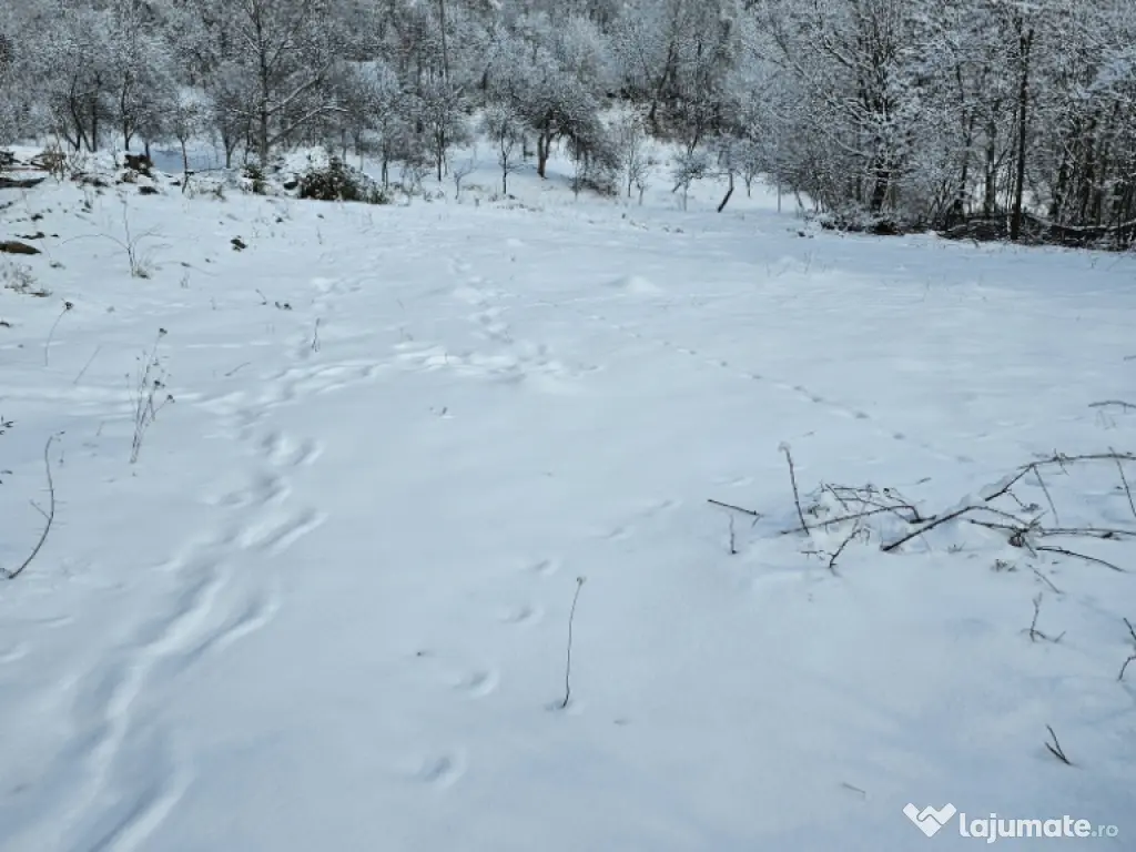 Vând loturi teren intravilane 975mp,949mp,1131mp,1450mp!