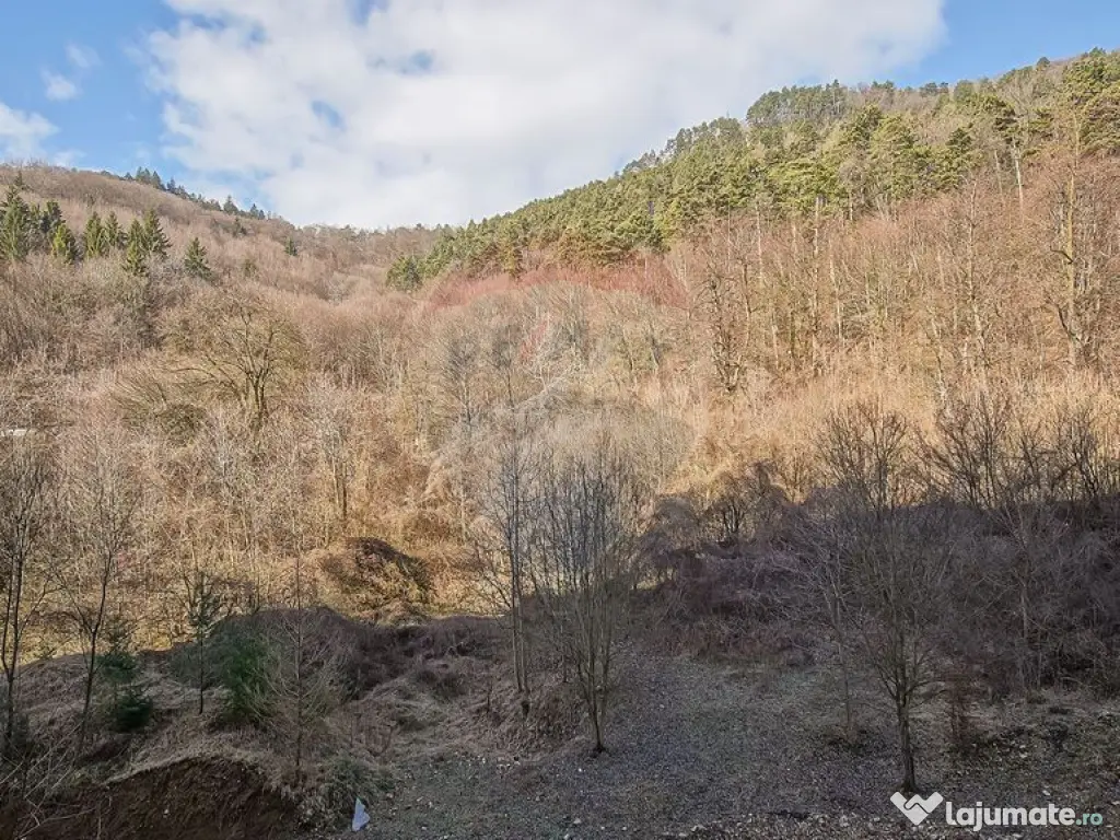 Apartament cu 2 camere Tampa Garden 