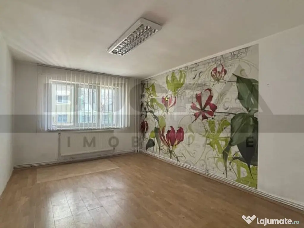 Spatiu de birou, 2 cai acces, terasa, zona Campului 