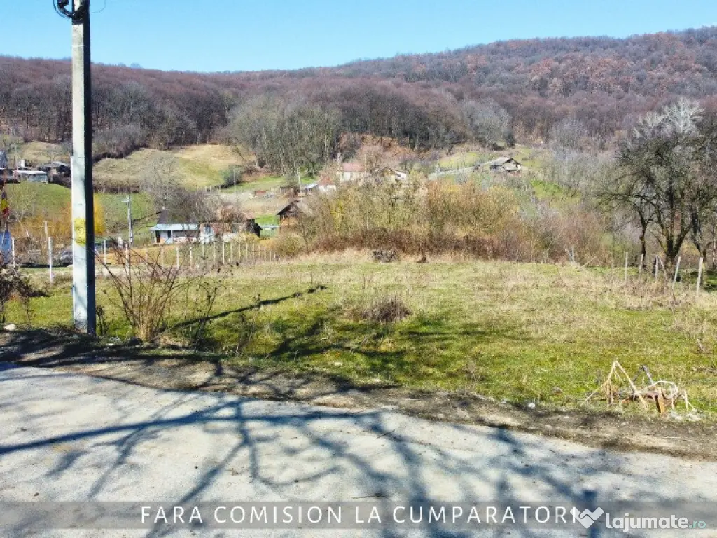 TEREN 872 MP, ZONA LINISTITA, AER CURAT