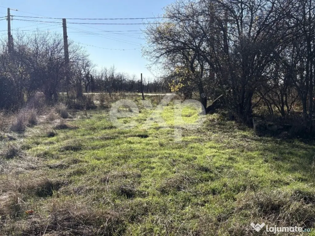 Teren langa padure, liniste, aer curat la 11 km de Pitesti 