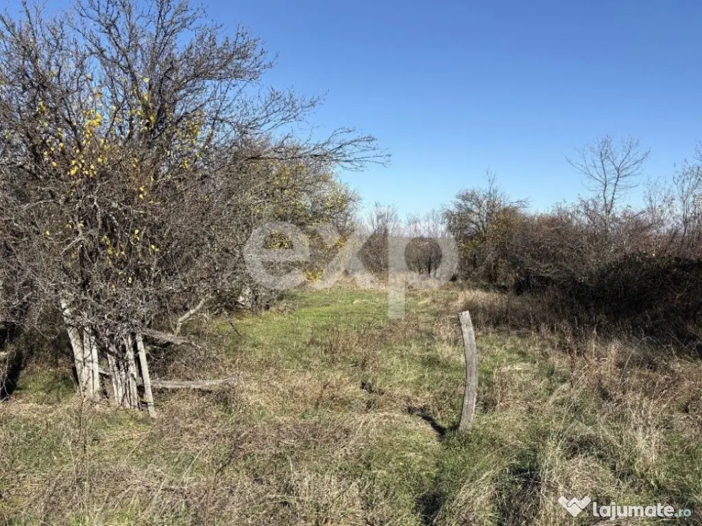 Teren langa padure, liniste, aer curat la 11 km de Pitesti 