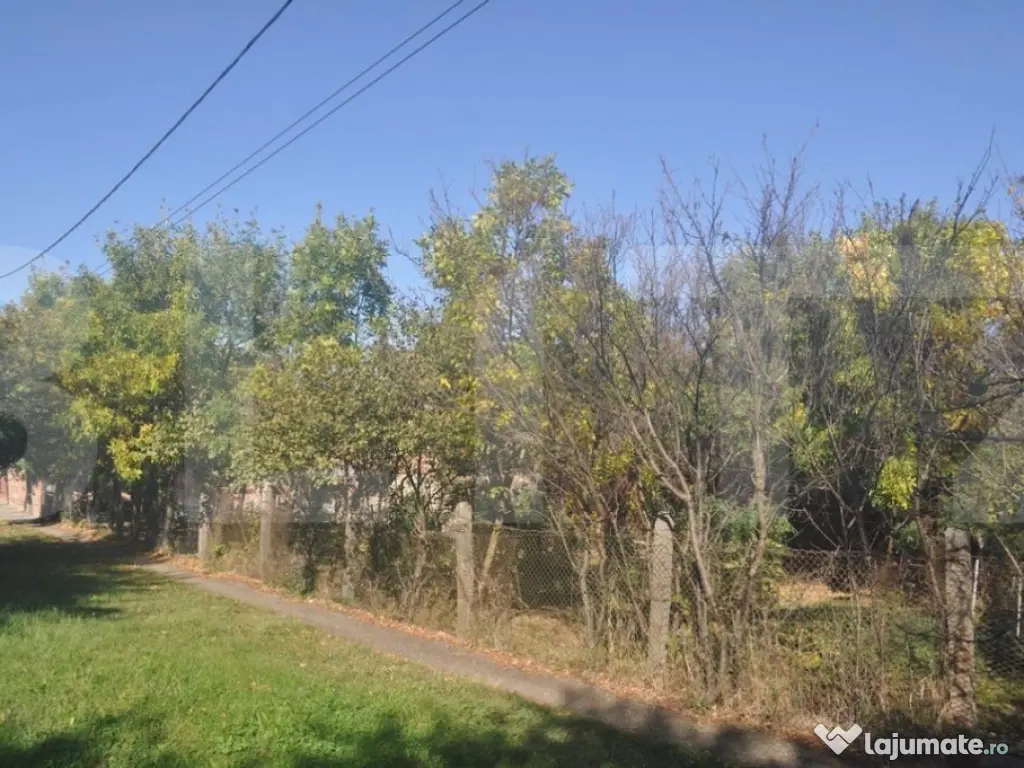 Vanzare Casa / Vila Giroc / Fratelia