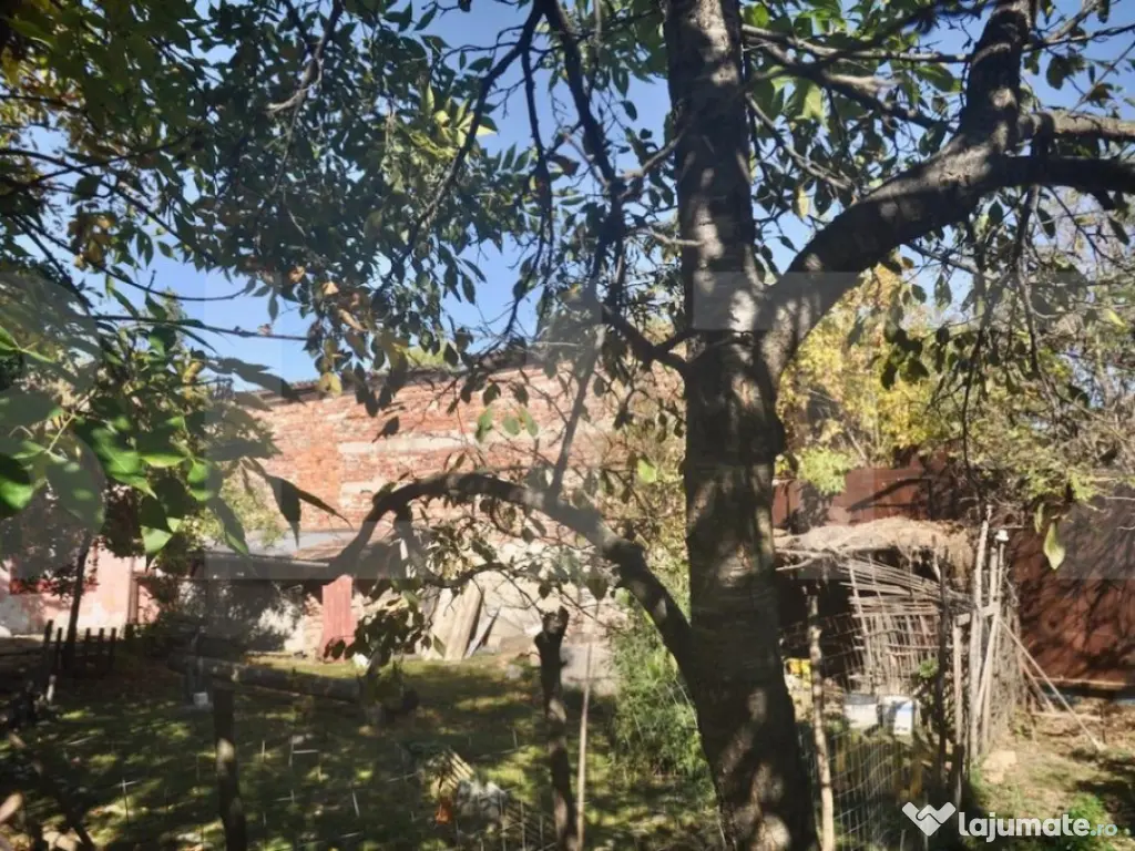 Vanzare Casa / Vila Giroc / Fratelia