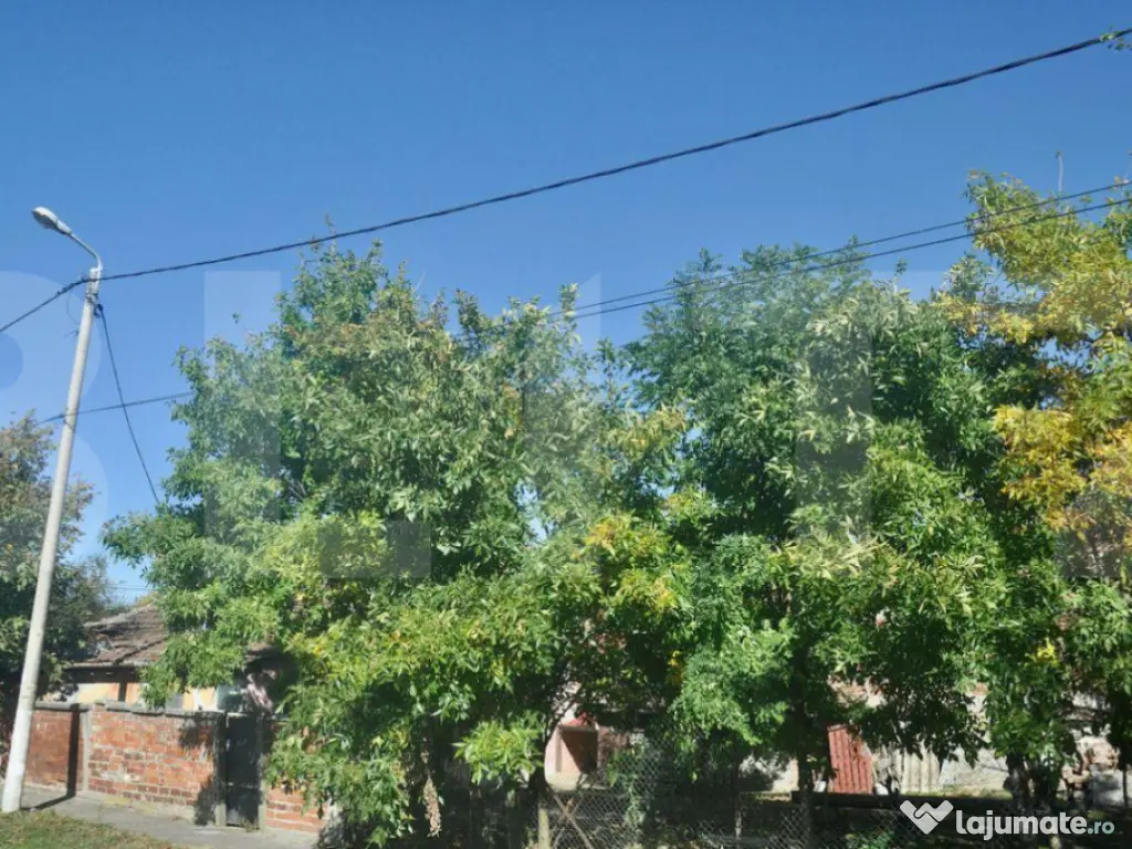 Vanzare Casa / Vila Giroc / Fratelia