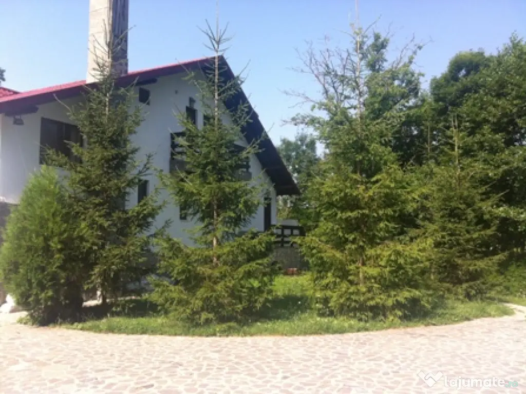 Casa de vacanta - vila Provita de Jos 